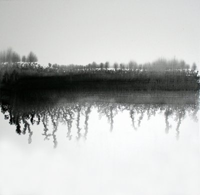 Reflet dans la forêt monochrome - Marina Nelson