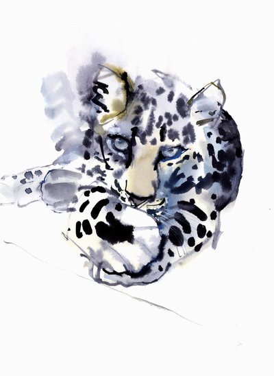 Léopard arabe, 2008 - Mark Adlington