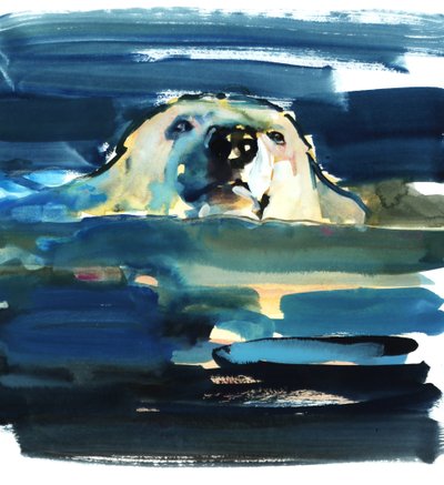 Baignade arctique - Mark Adlington
