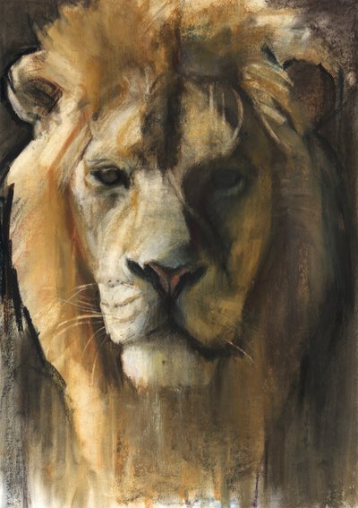 Lion asiatique, 2015, (pigment, pastel et conté sur papier) - Mark Adlington