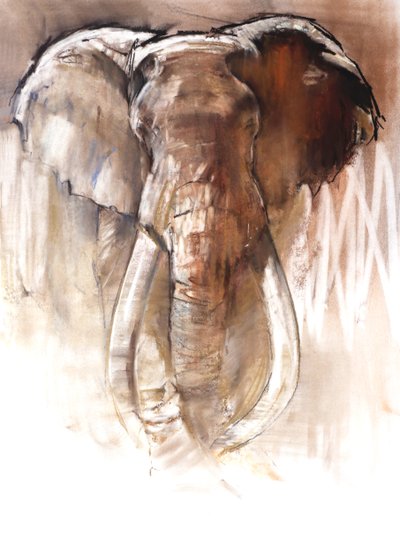 Éléphant mâle, 2018 - Mark Adlington