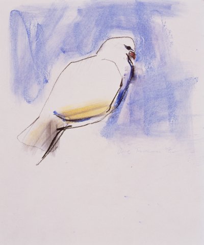 Colombe, Trasierra, 1998 - Mark Adlington