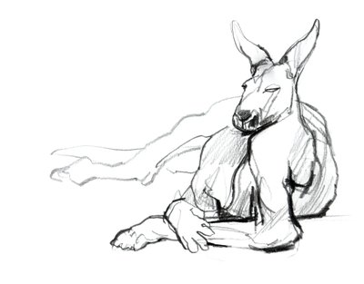 Athlète au repos (Kangourou rouge), 2012 - Mark Adlington