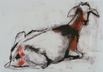 Chèvre Assise, 1998 - Mark Adlington