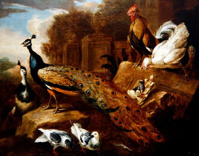 Paons, colombes et autres oiseaux et un bâtiment classique - Marmaduke (attr. to) Cradock