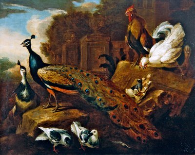 Paons, colombes et autres oiseaux et un bâtiment classique - Marmaduke Craddock