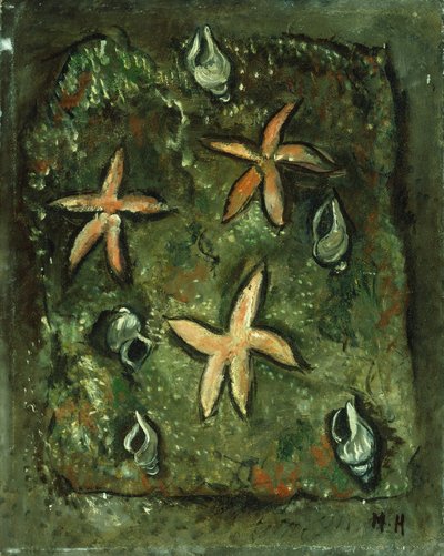 Étoile de mer et coquillages - Marsden Hartley