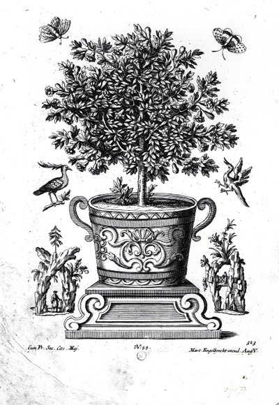 Arbre ornemental dans une urne sur une petite scène - Martin Engelbrecht