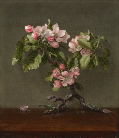  - Martin Johnson Heade