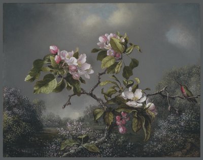 Fleurs de pommier et colibri, 1871 - Martin Johnson Heade