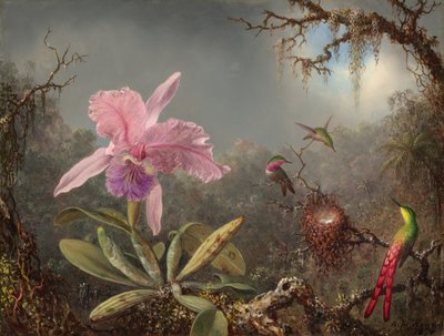 Orchidée Cattleya et Trois Colibris - Martin Johnson Heade