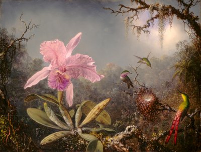 Orchidée Cattleya et trois colibris - Martin Johnson Heade