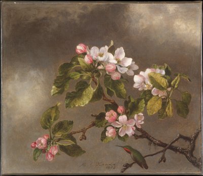 Colibri et fleurs de pommier - Martin Johnson Heade