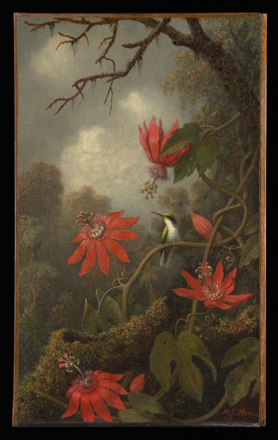  - Martin Johnson Heade