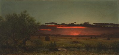  - Martin Johnson Heade