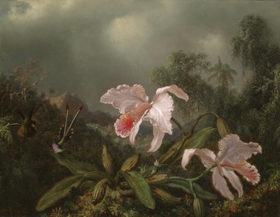 Orchidées de la jungle et colibris, 1872 - Martin Johnson Heade