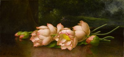 Fleurs de lotus: Une peinture de paysage en arrière-plan - Martin Johnson Heade