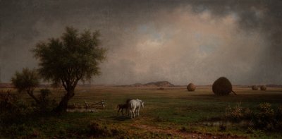  - Martin Johnson Heade