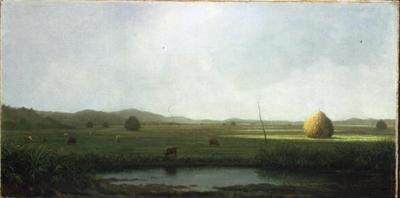 Scène de marais : Bétail près d