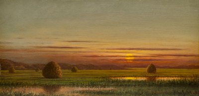  - Martin Johnson Heade