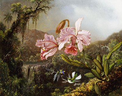 Orchidées et colibris dans une jungle brésilienne - Martin Johnson Heade