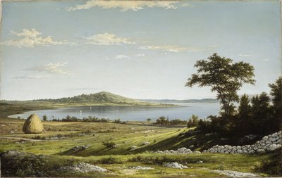  - Martin Johnson Heade