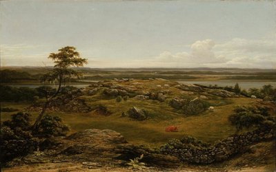Roches en Nouvelle-Angleterre - Martin Johnson Heade