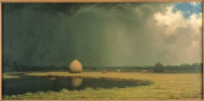 Foin des marais salants, vers 1865 (huile sur toile) - Martin Johnson Heade