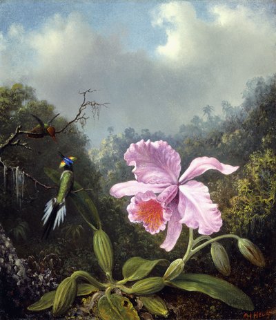 Nature morte avec orchidée et paire de colibris, vers 1890 - Martin Johnson Heade