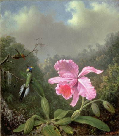 Nature morte avec une orchidée et une paire de colibris, vers 1890 - Martin Johnson Heade