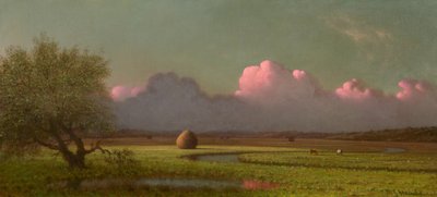 Lumière du soleil et ombre: les marais de Newbury - Martin Johnson Heade