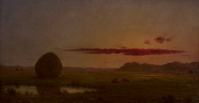  - Martin Johnson Heade
