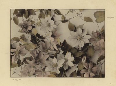Un des Festons und Decorative Gruppen de Martin Gerlach - Martin senior Gerlach