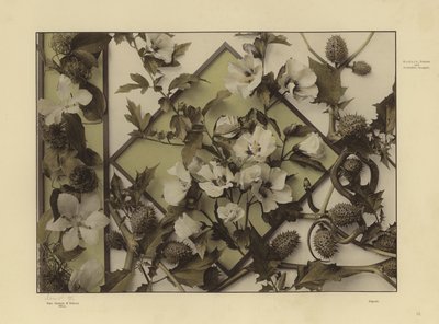 Une des Festons und Decorative Gruppen de Martin Gerlach (photo n/b) - Martin senior Gerlach