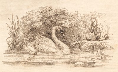Illustration pour "Halvhundrede Fabler for Børn" de Hey - Martinus Rørbye