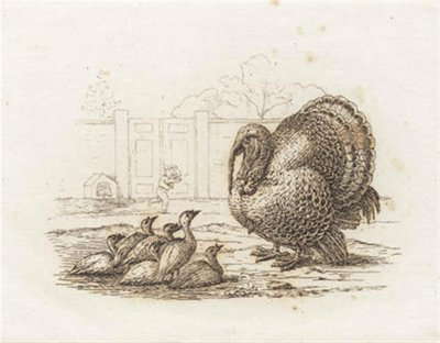Illustration pour "Halvhundrede Fabler for Børn" de Hey - Martinus Rørbye