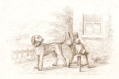 Illustration pour "Cinquante fables pour enfants" de Hey - Martinus Rørbye