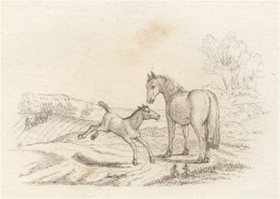 Illustration de "Halvhundrede Fabler for Børn" par Hey - Martinus Rørbye