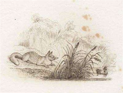 Illustration pour "Cinquante fables pour enfants" de Hey - Martinus Rørbye