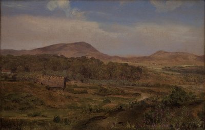 Paysage près de Blokhus, Jutland - Martinus Rørbye