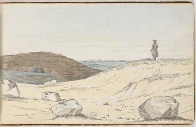 Vue sur un paysage de lande ou de dunes. Au premier plan, quelques grandes collines; sur l