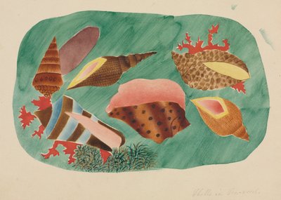Coquillages dans les algues - Mary Altha Nims