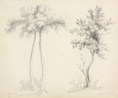 Études d
