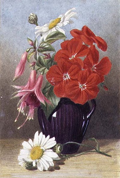 Géraniums et Fuchsias dans un Pichet Violet Émaillé - Mary Elizabeth Duffield