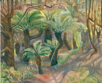 Fougères arborescentes, Trewidden, 2012 - Mary Kuper
