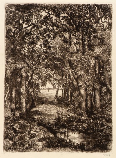 La mer à travers les bois - Mary Nimmo Moran