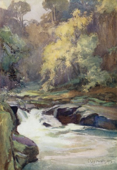 Le Saut de Wallace, près de Lanark - Mary Young Hunter