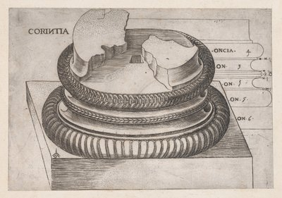 Speculum Romanae Magnificentiae : base corinthienne du Temple de Mars Ultor, Rome, vers 1537 - Master GA