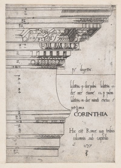 Speculum Romanae Magnificentiae: Entablement du Temple de Castor et Pollux, Rome, 1537 - Master PS