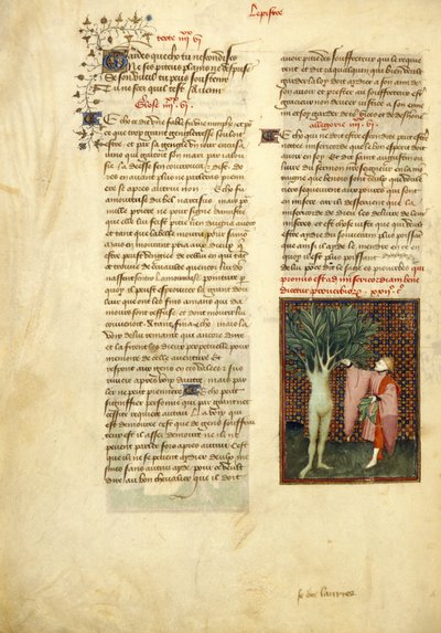 Apollon et Daphné, des 